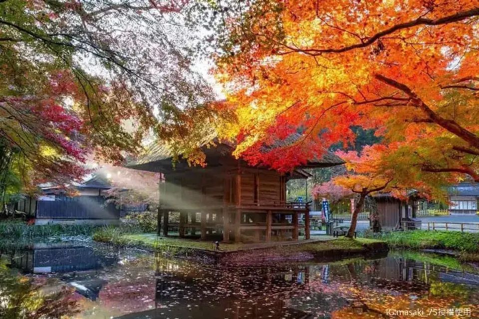 日本跟團推薦,東北奧之秘境～奧入瀨森呼吸、角館町小京都、猊鼻溪輕舟、秋田縱貫鐵道五日