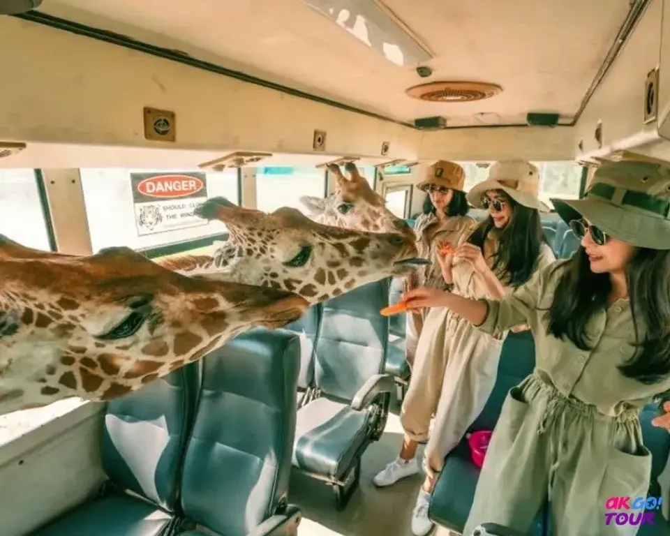 泰國自由行eSIM推薦