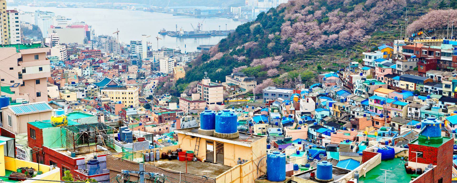 釜山高清图片
