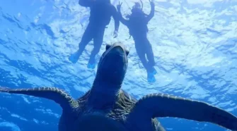 【2026 石垣島一日遊全攻略】沖繩石垣島自由行必看！藍洞浮潛教練、離島船票、美味午餐通通有，小朋友也能輕鬆玩！