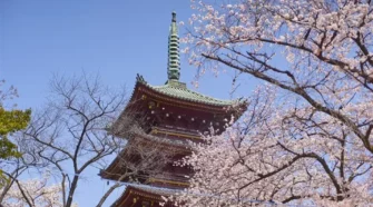 【新手必看】出國上網方案解析：eSIM/SIM 卡/WiFi 分享器價格&便利度比較