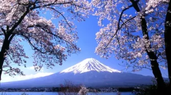 【AsiaYo 旅遊優惠懶人包】AsiaYo郵輪/跟團/住宿優惠怎麼用？教你疊加獨家會員價&加購，訂越多省越多！