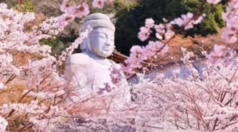 AsiaYo日本賞櫻全攻略