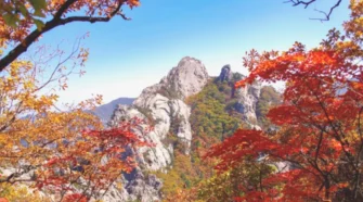 江陵秋冬旅遊必看攻略